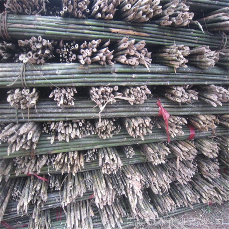 直销矮化密植苹果园专用的4米小竹竿 供应陕西延川