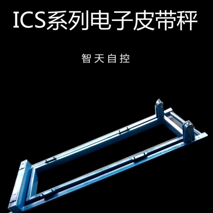 生产供应大皮带机计量称 ICS系列 计量准确 操作简单