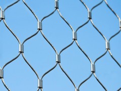 不锈钢绳网厂家