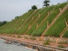 边坡绿化客土喷播