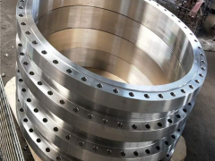 Analysis of Causes Leading to Flange Seal Leakage