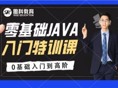 Choose Java for Software Development Learning