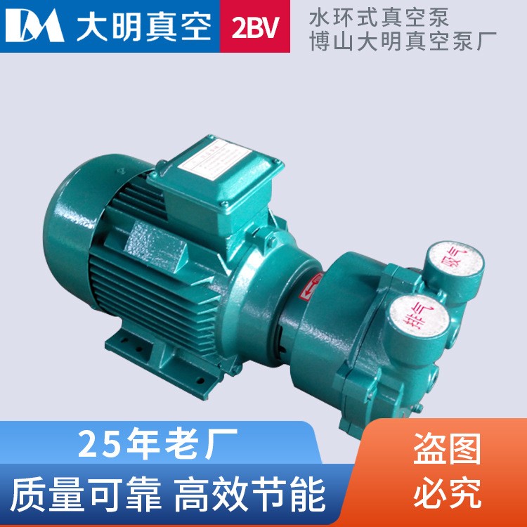2BV2061水环式真空泵 1.45KW铸铁不锈钢水环真空泵