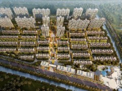 碧桂园-金茂悦山