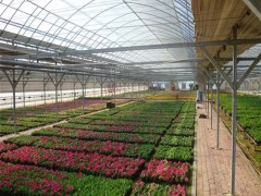 花卉大棚