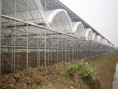 连栋温室