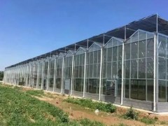 种植大棚