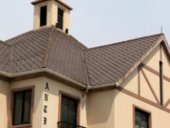 上置-美兰湖硅谷