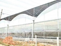 连栋温室