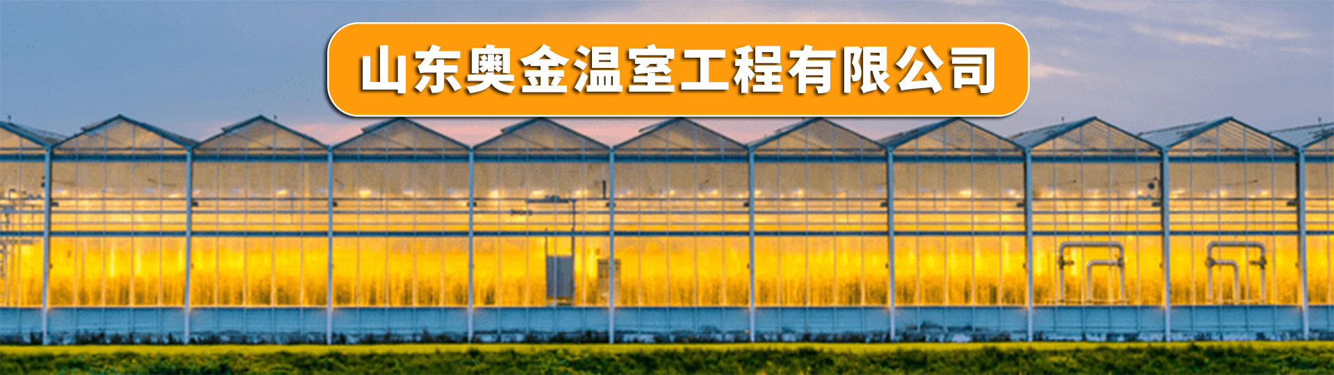 Shandong Aojin Greenhouse Engineering Co., Ltd.
