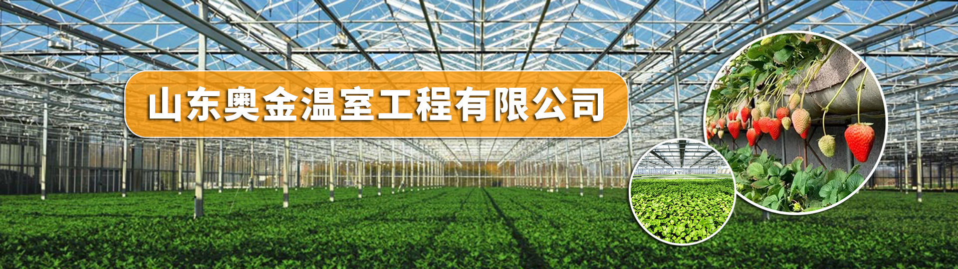 Shandong Aojin Greenhouse Engineering Co., Ltd.