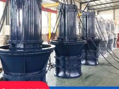 Submersible Sewage Pump Noise Reduction: An Insight from Shangpump Industry