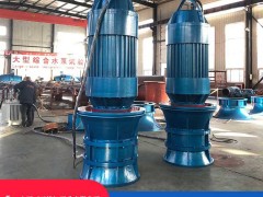 Submersible Axial Flow Pumps: Installation Methods Explained by Shang Pump Industry