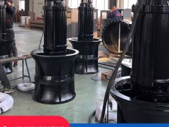 ZQ, ZQB Submersible Axial Flow Pump Manufacturer — Shang Pump (Tianjin) Industry Co., Ltd.