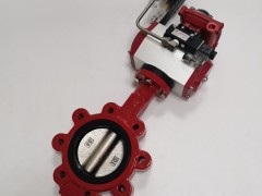 What are the characteristics of butterfly valves?