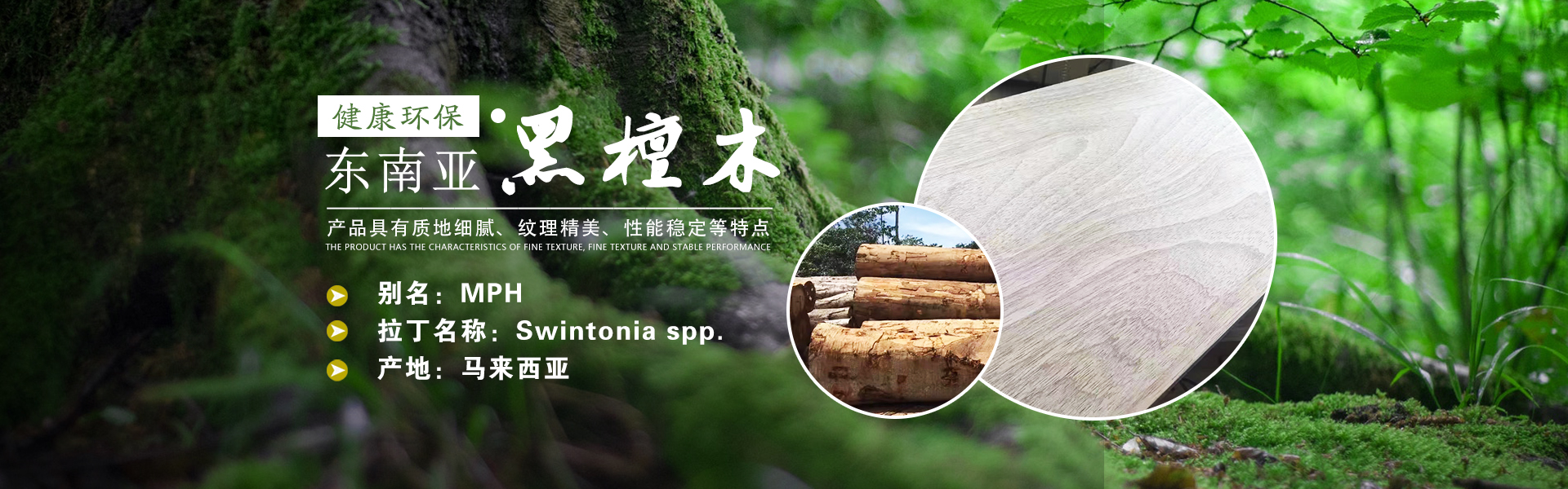 Tianjin Dajunqi International Trade Co., Ltd.