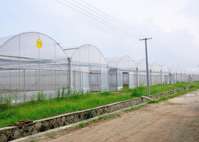 Shouguang Huaxin Agricultural Development Co., Ltd.
