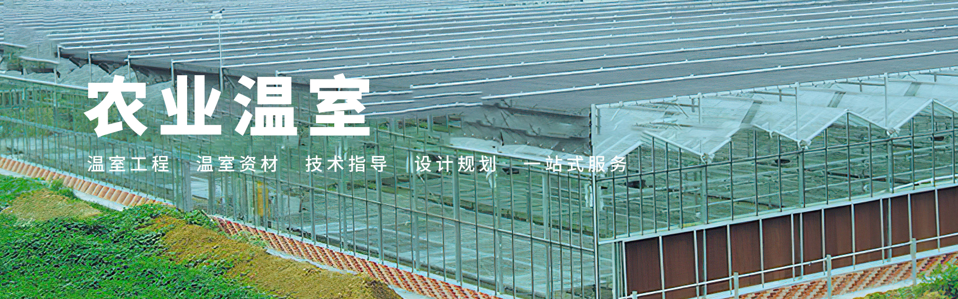 Tianjin Wanqiangsheng Iron and Steel Co., Ltd.