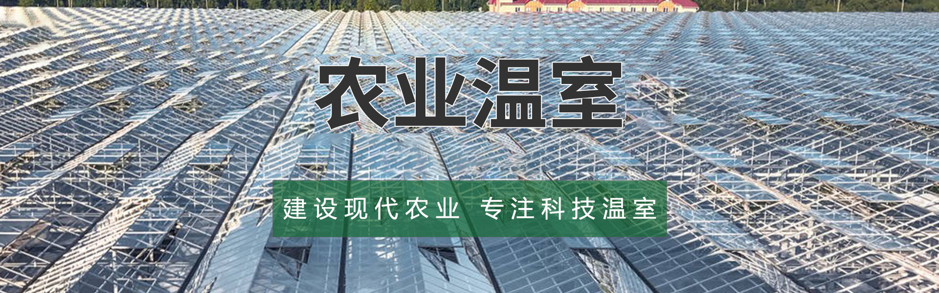 Tianjin Wanqiangsheng Iron and Steel Co., Ltd.