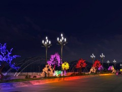 陕西商洛主干道景观亮化