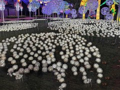 景观装饰、夜游亮化地插灯应用案例