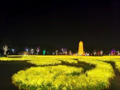 广西南宁青秀山丰收节项目