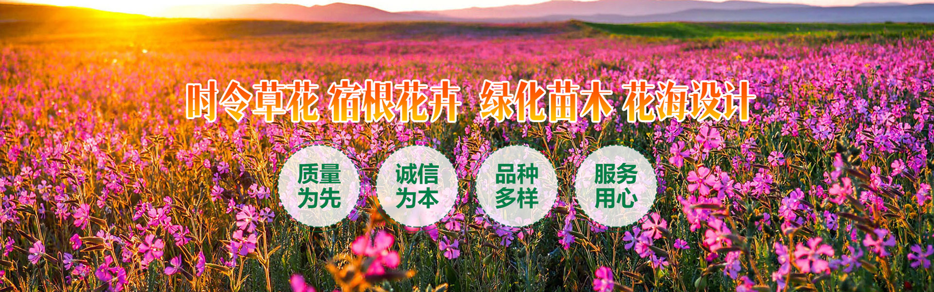 Qingzhou Lingying Flower and Seedling Garden