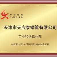 专精特新小巨人企业
