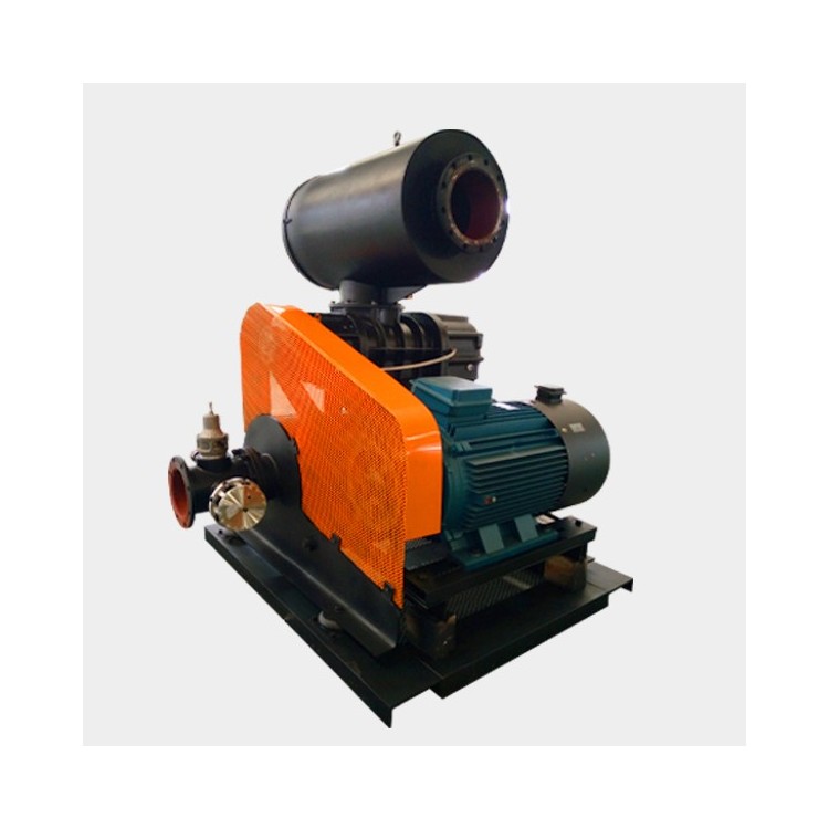 LG220 Twin Screw Blower