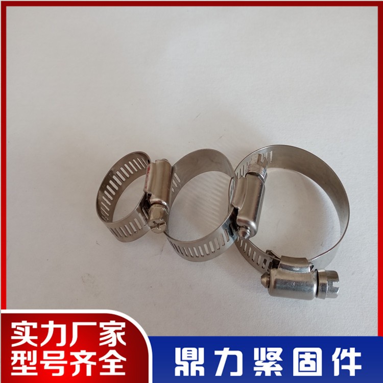 American-style headless hose clam