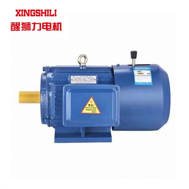 全铜减速电动机 卧式立式高速交流电机感应马达 醒狮电机