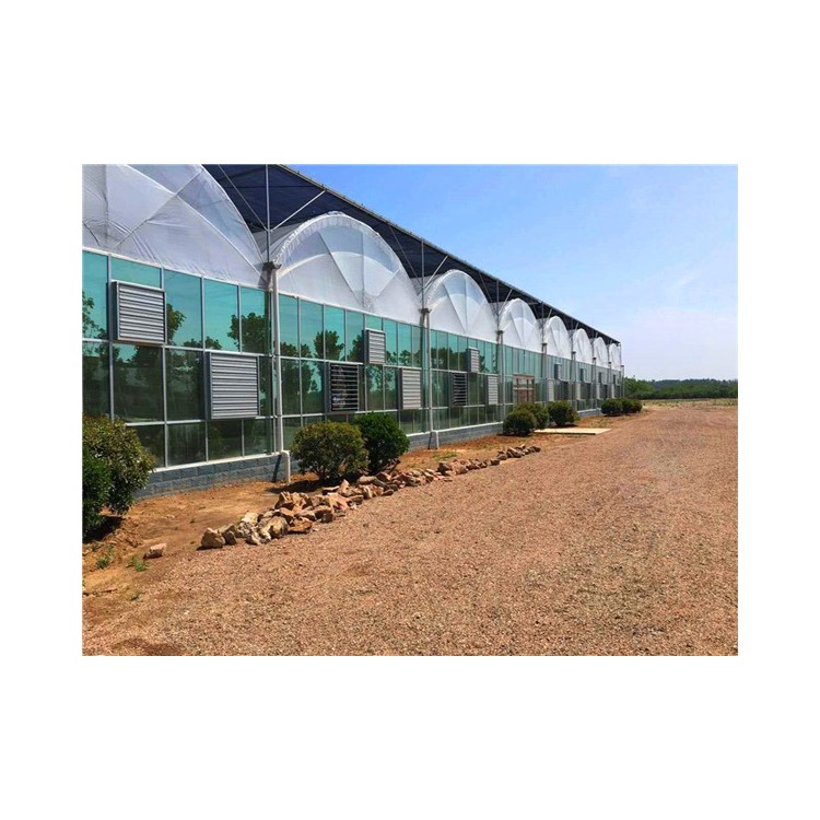 Twin-span greenhouse film structure