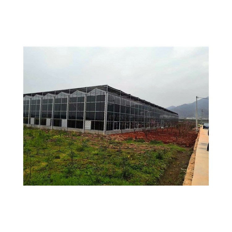 Polycarbonate Greenhouse Panels
