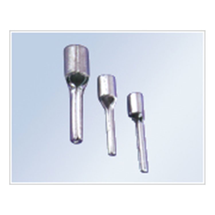 针形裸端头（PTN型）