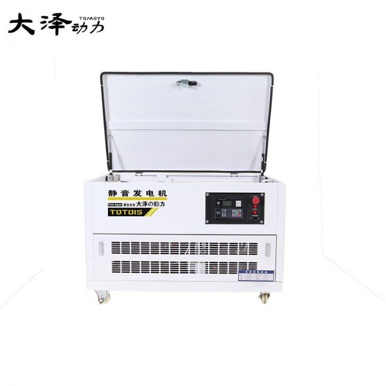 12千瓦大泽动力汽油发电机组