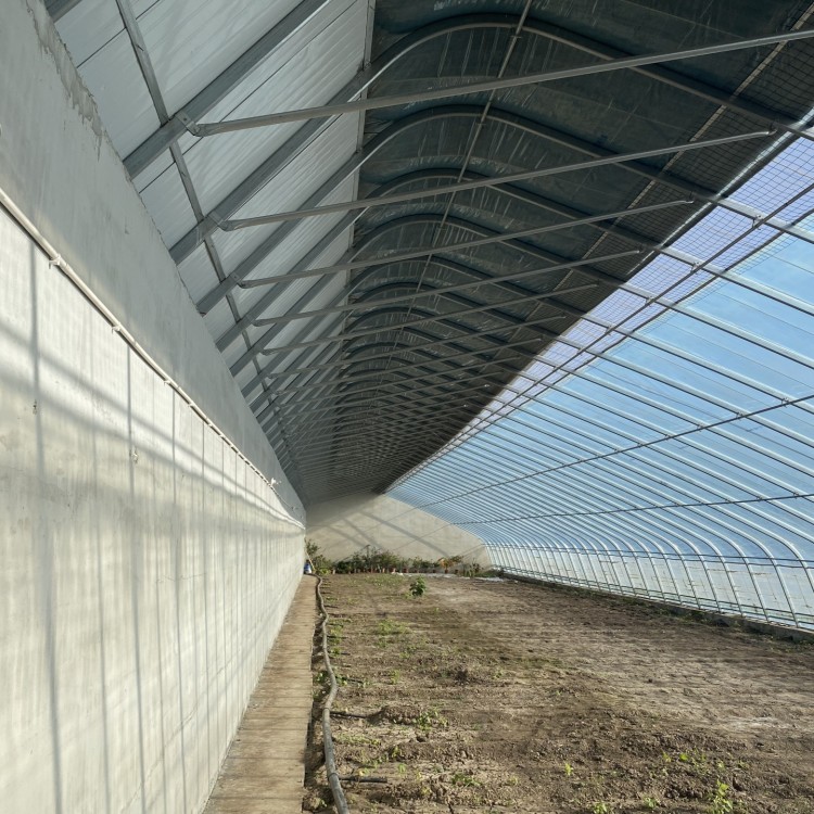 西瓜棚、蔬菜棚、种植棚、水果棚、支持定做 食用菌种植大棚等