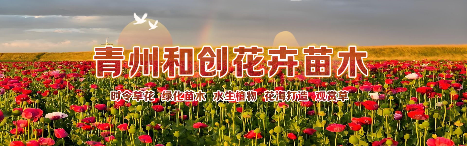 Qingzhou Hechuang Flower and Seedling Co., Ltd.