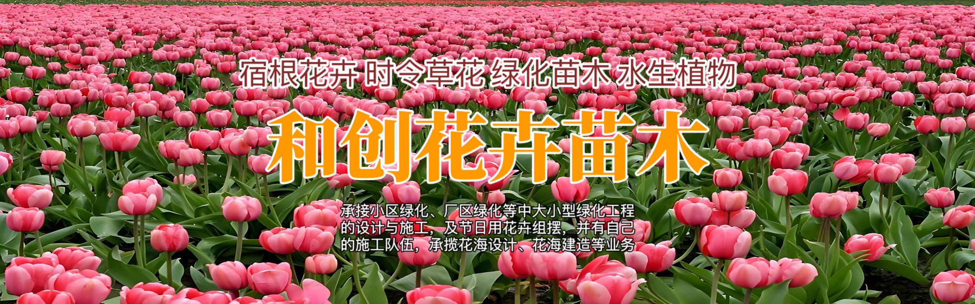 Qingzhou Hechuang Flower and Seedling Co., Ltd.