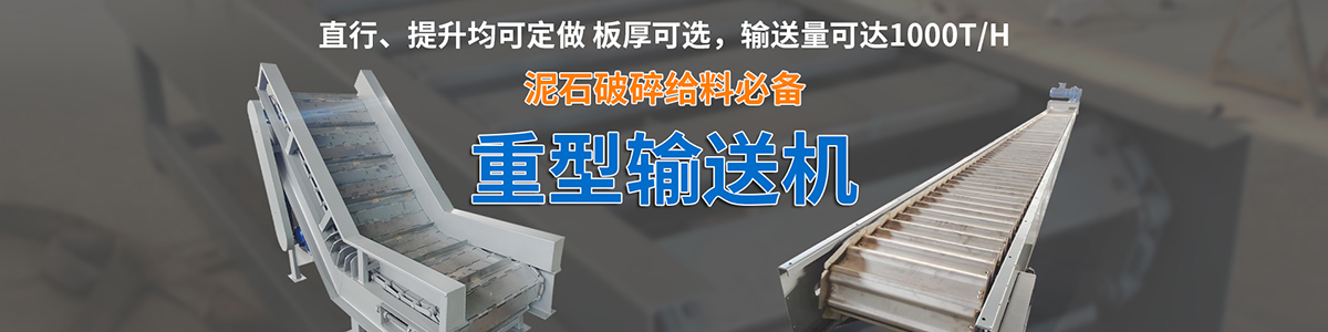 Ningjin Shunxin Chain Conveyor Equipment Co., Ltd.