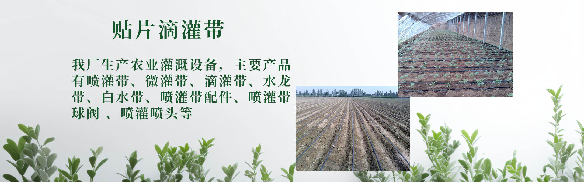 Jin Haiyu Micro-spray Belt Factory, Qingzhou City