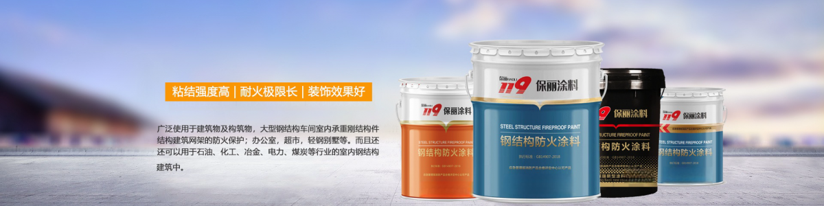 山东保丽新型涂料