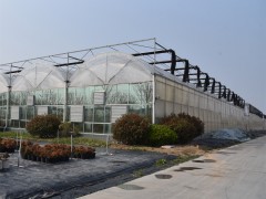 连栋薄膜温室