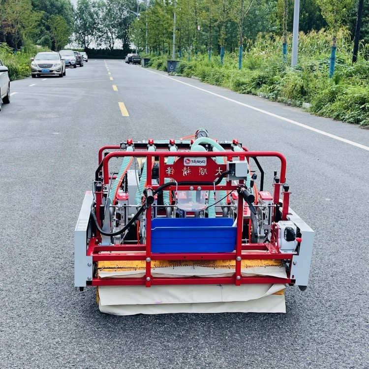 Air-Drilled Mustard Seed Planter (Green Stalk Mustard)