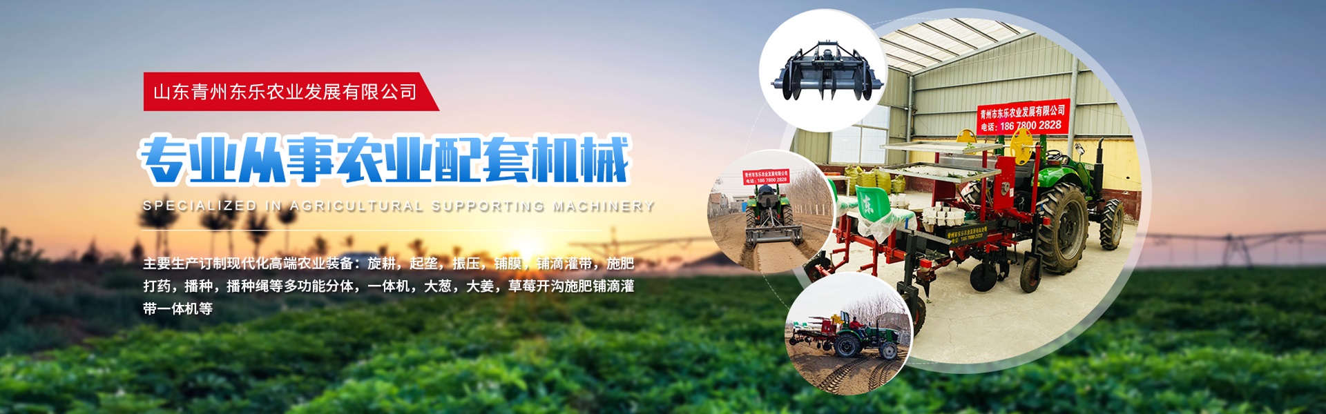 Qingzhou Dongle Agricultural Development Co., Ltd.