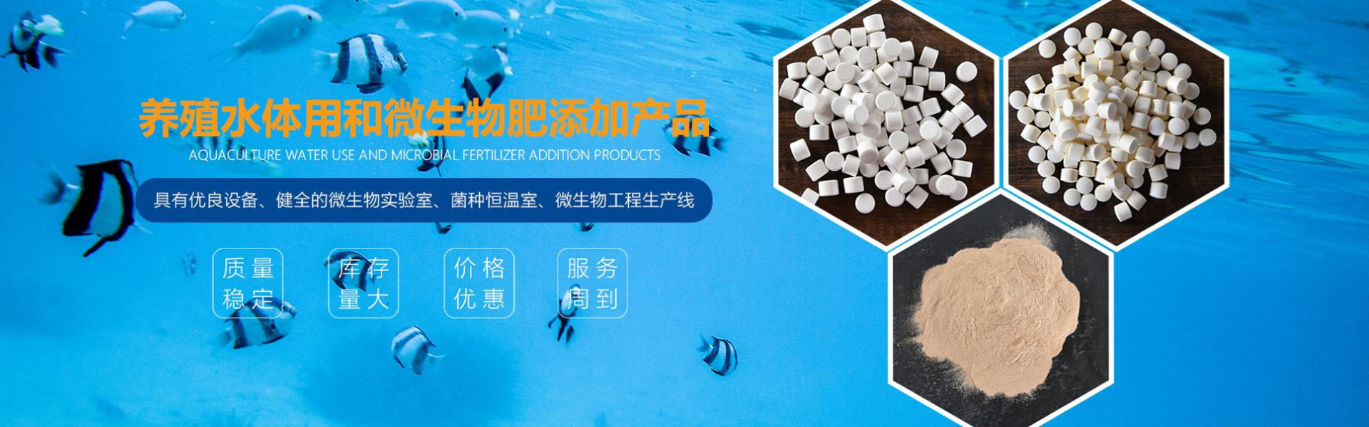 Shandong Jingba Pharmaceutical Co., Ltd.
