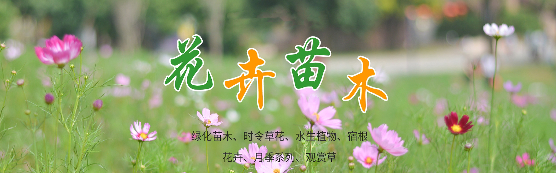 Qingzhou QiYu Flower & Seedling Co., Ltd.