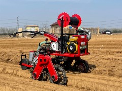 What are the advantages of vegetable seeders?