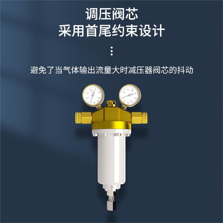 进口技术大流量氢气减压器