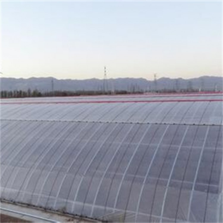 日光温室