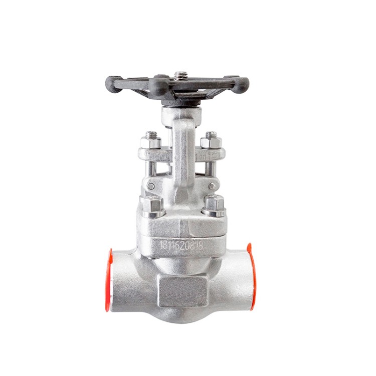 双相不锈钢锻造承插焊闸阀-Z61Y-800